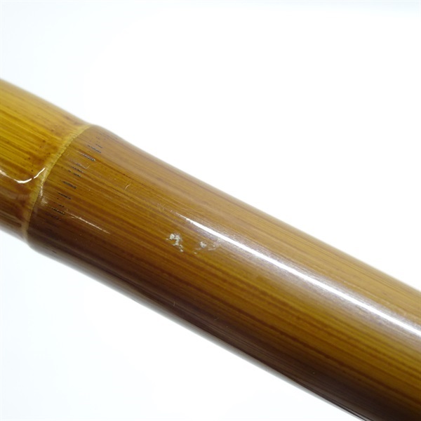 普天元 大我十三